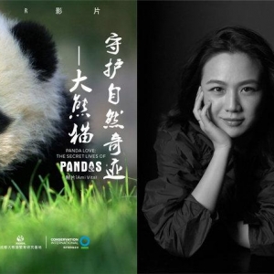 2018明星公益观察