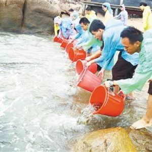 世界海洋日：保护和可持续利用海洋