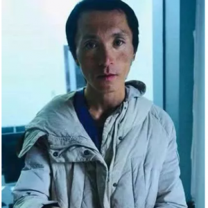 草长莺飞回家路-跨越3千公里的流浪者返乡接力