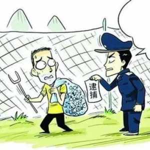 非法猎捕野生动物触犯刑法损害公益