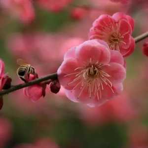 慈善会：知名企业聚集脱贫 共同引领美好生活
