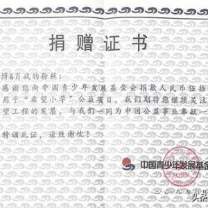 明星公益大热却屡屡出争议，“杨幂们”莫要诈捐多学学他