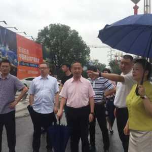 温州启动公益广告整治行动 维护城市高“颜值”