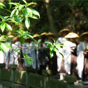 杭州举办托钵行脚慈善盛事