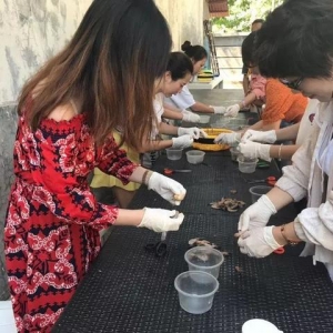 深度调查：巴厘岛“国际志愿者”内幕