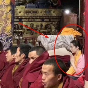 官媒发微博，定性范冰冰公益事件：经不起这样的伤害！