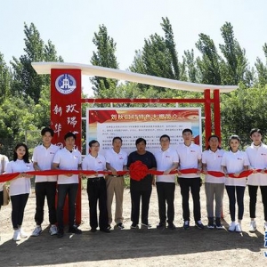 绿色大棚项目落地 新华网携手欢瑞世纪践行公益扶贫