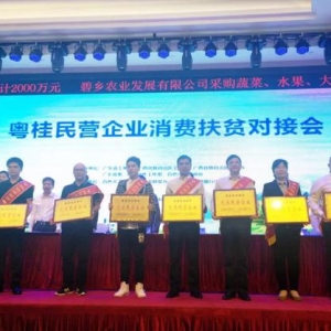 积极投身精准扶贫 龙光荣膺“粤桂扶贫协作先进民营企业”