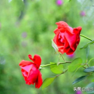 为什么很多做慈善的人都觉得“寒心”？
