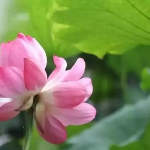 第十一届“中华慈善奖”评选活动开始啦