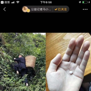 七旬爷爷悬崖采药救孙子调查：照片摆拍，“公益机构”策划收10%管理费