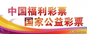 去年1338.75亿公益金花哪儿去了？