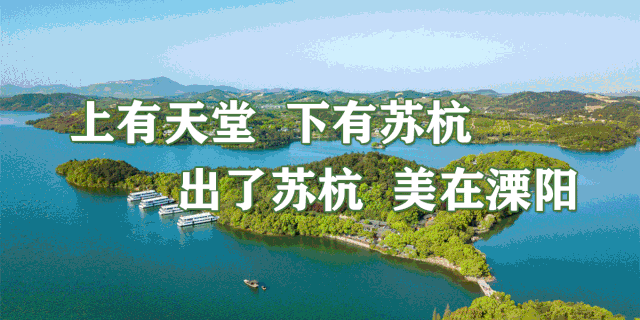 2019年“慈善一日捐”活动启动 市四套班子领导带头捐款