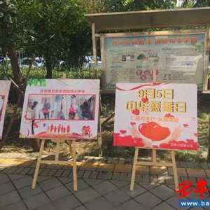 灵珠山街道开展2019年“中华慈善日”宣传活动