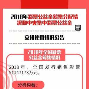 2018年涉及1338.75亿公益金都用在这些地方了
