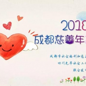 2018成都慈善年报特辑 ||“数”说慈善（三）