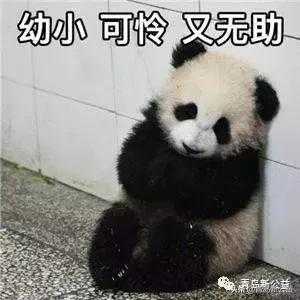 那些年，我们一起做过的公益