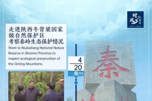 时政微周刊｜总书记的一周（4月20日—4月26日）