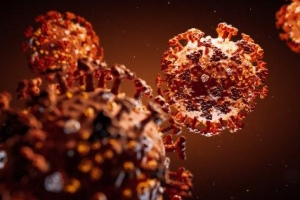美国《科学日报》：新冠病毒是自然产物！