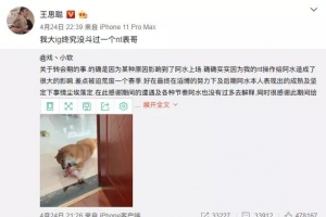 王思聪的爆料被压下去了？网友爆料事情经过，斗鱼暗示阿水回归！