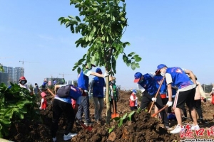 为城市增添一抹绿！海口开展“五四青年林”义务植树活动