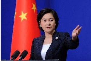 世卫拟派团赴华调查病毒起源？华春莹：对和世卫在病毒溯源上合作保持开放， ...