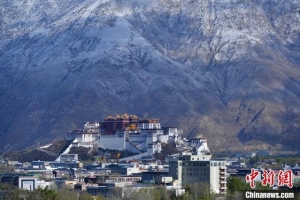 西藏拉萨又迎“四月雪”