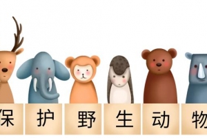 世界环境日|龙江检察：打出公益诉讼组合拳 织密野生动物保护防护网 ...