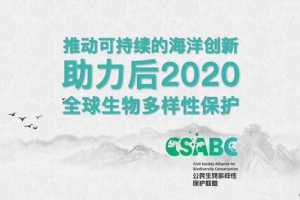 倡议书 | 推动可持续海洋创新，助力后2020生物多样性保护 ...