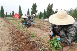 河南博爱：志愿者撸起袖子帮助贫困户干农活
