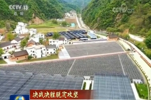 「决战决胜脱贫攻坚」特色产业助力 高质量完成脱贫任务 ...