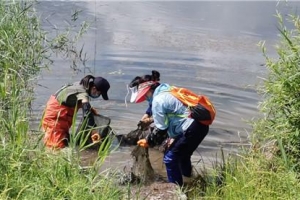 志愿者穿救生衣下水 捞起“地猫”等捕具182件