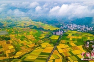 人民日报任理轩：兑现向人民向历史作出的庄严承诺