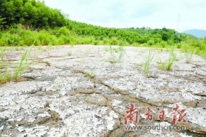 云浮公益诉讼向涉黑组织追偿生态资源损失近2000万