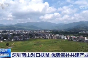 广东连平与深圳南山对口扶贫 优势互补共建产业园