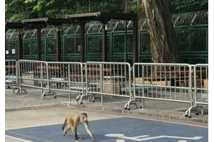 香港第三波疫情传播率或高于武汉封城前，出租车司机或为“零号个案”，深圳 ...