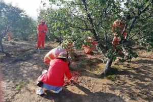 抢抓农时干农活，扶贫帮困零距离