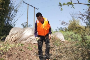 红德村志愿者故事：传递爱与暖 散发光和热