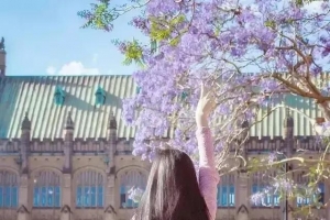 TikTok（抖音）在美国得到广泛传播碰了谁的蛋糕？