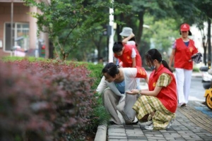 金华开发区：大街小巷志愿红，擦亮城市“底色”