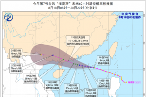 台风黄色预警！第7号台风“海高斯”奔向广东，这些地方将迎大风暴雨 ...