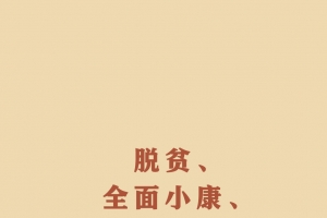 脱贫、全面小康、现代化，一个民族也不能少