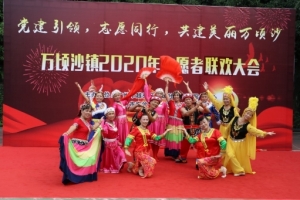 万顷沙镇2020年志愿者联欢大会举行