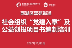 西湖区翠苑街道社会组织“党建入章”及公益创投项目书编制培训顺利举办 ...
