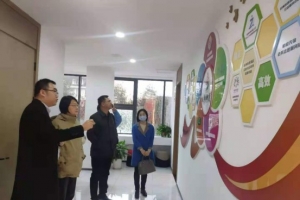湖南省民政厅一级巡视员杨薇一行莅临文新街道社会工作站参观调研 ...