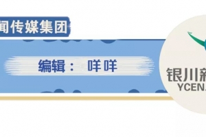 银川市十四五规划和二〇三五年远景目标建议52条要点全在这儿 ...