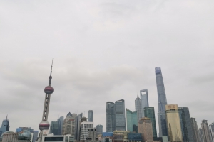 上海人气第一的景点，过年期间人山人海，2公里的步行街上全是人 ...