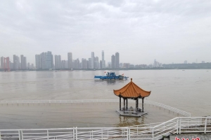 武汉江水上涨 长江江滩多处景观被淹没