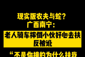 广西南宁：现实版农夫与蛇？老人骑车摔倒，小伙去扶被反咬一口 ...