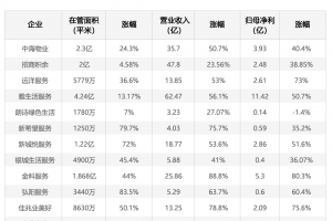 物有所值｜上市物企半年报：扩规模仍是主旋律 加速拓展增值服务 ...